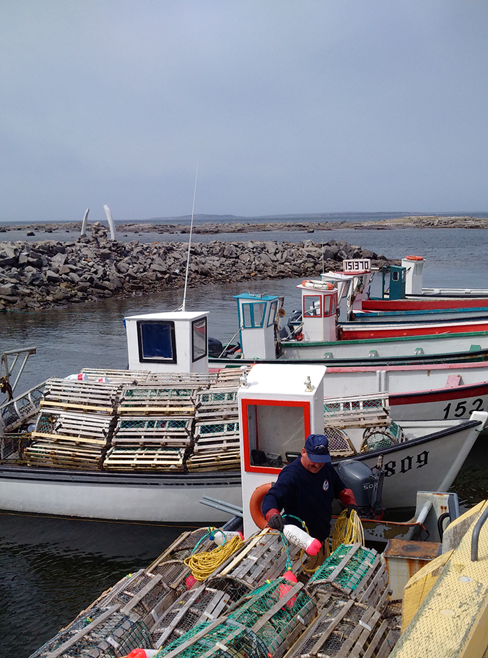 Newfoundland Keeps its Lobster Price Formula for Another Year, in